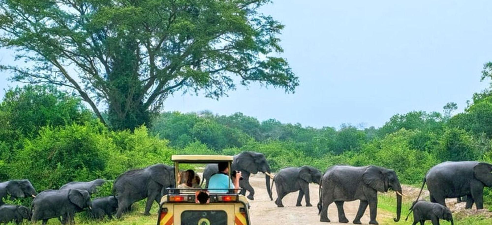 Family Resort อุดาวาลาเว ภายนอก รูปภาพ