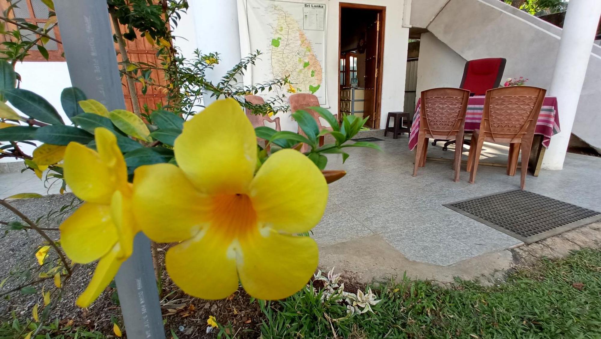 Family Resort อุดาวาลาเว ภายนอก รูปภาพ